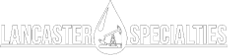 Transparent white logo